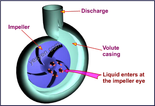 Centrifugal Pump Working Principle