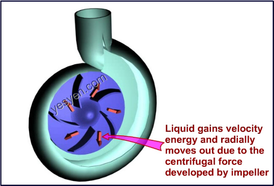 Centrifugal Pump Working Principle | theory