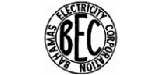 Bahamas Electricity Corporation, USA